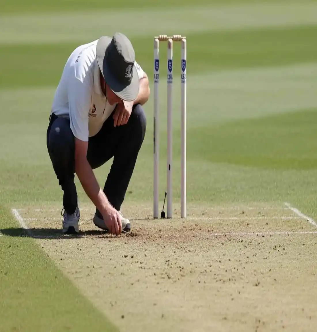Close-up of cricket pitch surface being examined showing grass texture and wear patterns